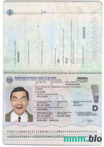 Niemcy pass (2017-obecnie) przykład w formacie PSD